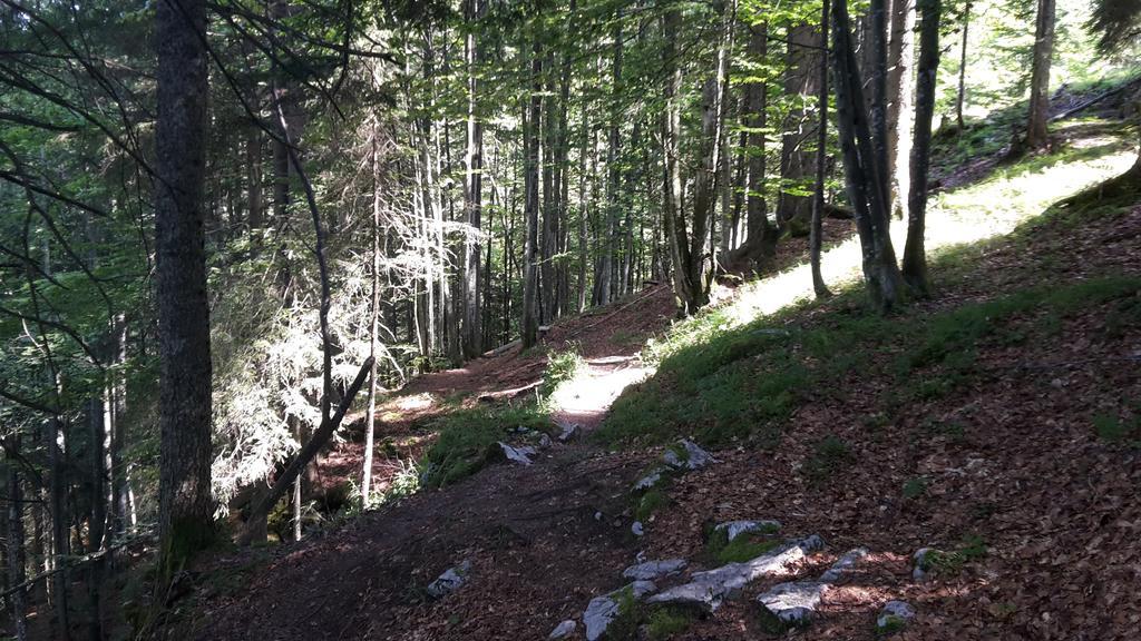 Postalm Lodge Seidegg Bagian luar foto
